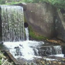 Rain forests seldom occur far from coastal areas, making the forest that grows in this valley unique. Paradise Springs Nature Trail 6 Tips From 171 Visitors