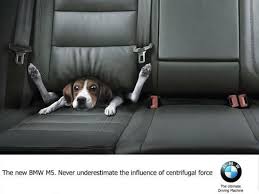 Mercedes Vs Bmw Vs Audi Which Ads Are More Creative Blog Of Francesco Mugnai Dog Jokes Funny Dog Pictures Funny Animal Pictures
