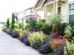 Lawn and garden plants shrubs flowers gardening. Arooney929 S Ideas Front Yard Plants Front Garden Design Front Yard Garden