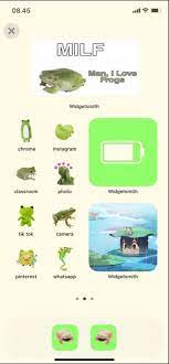 The home screen read the article to learn about the home screen. Funny Frog Themed Home Screen Homescreen Iphone Layout Ios Update