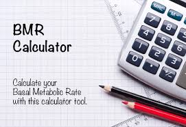 bmr calculator basal metabolic rate and daily calorie needs