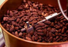 Cocoa tree cocoa bean cocoa chocolate theobroma cacao. The Bdsi Highlights Decline In German Cocoa Grinding Amid Wider Market Falls Confectionery Production