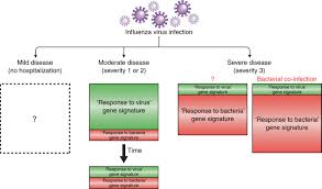The best way to prevent flu is by getting a flu vaccine each year. Influenza S Signature Move Nature Immunology