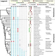 At cleardefense pest control we use only environmentally responsible products. Frontiers Dynamic Evolution Of Antimicrobial Peptides Underscores Trade Offs Between Immunity And Ecological Fitness Immunology