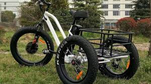 電動アシスト式三輪自転車 第1弾スポーツモデル e trike 発売 電動アシスト自転車 自転車 カーゴバイク