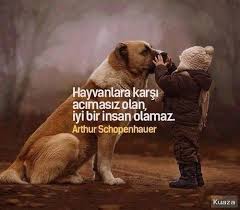Hayvan Sevgisi Ile Ilgili Resimli Sozler Hayvanlar Ile Ilgili Resimli Sozler Hayvan Sozleri Hayvan Hayvanlar