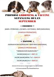 Sis nak kongsi kat sini senarai klinik kesihatan daerah kota bharu. V Care Veterinary Clinic Pet Clinic In Kota Bharu