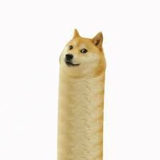 See more ideas about doge, doge meme, funny animals. Noodles Doggo Gif Noodles Doggo Discover Share Gifs Doge Gif Doge Meme Characters