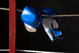 Inside the Octagon and the Ring: How TKO is Shaping the Future of Combat Sports