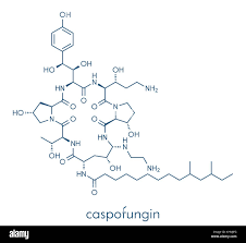 Image result for Caspofungin