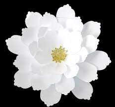 Los moldes de flores recortables en la imagen abajo están listos para imprimir con 6 moldes de flores pequeñas en formato pdf. Tienda Online Ponquis Moldes Para Flores De Papel Venta Y Descarga