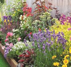 Maybe you would like to learn more about one of these? Garden Outdoor Living Gardening Supplies More Wilko Com