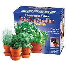 Amazon Com Chia Gourmet Herb Garden Health Personal Care Herb Garden Kit Gourmet Herbs Herb Garden