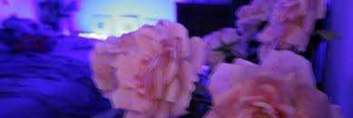 Twitter header badass twitter header trippy twitter header pictures twitter header quotes cute twitter headers facebook header cute headers header tumblr twitter banner. Pin By Idalia Ramirez On Headers Twitter Header Trippy Twitter Header Aesthetic Twitter Header Photos
