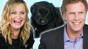 Amy Poehler And Will Ferrell Couldn't Give Us A Serious Answer While We  Interviewed Them With Puppies