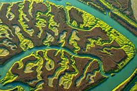 Raúl arevalo nos presenta este primer diario de rodaje en el que os mantendremos al tanto de cómo. La Isla Minima Marshland Review Wandering Bakya