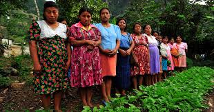 Viele aktuellen konflikte (zum beispiel struktureller rassismus, soziale ungleichheit, gewalt, etc.) ebenso wie kulturelle alltagspraktiken. Guatemala Landerinfos Hilfsprojekte Aktion Gegen Den Hunger
