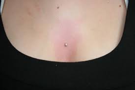 Piercing Meerdere Oorpiercings Huidpiercing Oor Piercings Kraakbeen