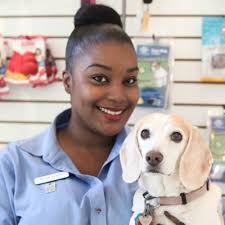 TOP 10 BEST Guard Dog Training near New York, NY 10011