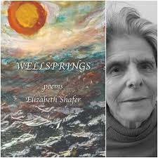 WELLSPRINGS by Elizabeth Shafer