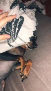 Vicky Danna (@vickydanna)