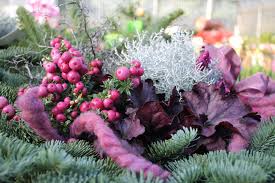 La frutticoltura veronese rappresenta una delle realtà produttive più importanti del nord italia. Vivai Fiordelmondo Un Mondo Di Fiori E Piante Per Il Giardino