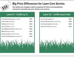 Lawn boy services offers customized maintenance packages to meet individual needs. How Much Does Trugreen Cost