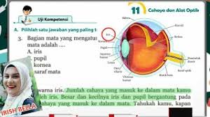 Join an activity with your class and find or create your own quizzes and flashcards. Jawaban Soal Pg Uji Kompetensi Bab 11 Cahaya Dan Alat Optik Ipa Kelas 8 Hal 224 Youtube