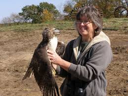 Just as the phoenix experiences highs and lows in its lifetime, so too are there moments of greatness and moments of tragedy in jewish history. 8 Phoenix Ideas Philippine Eagle Bald Eagle Animals