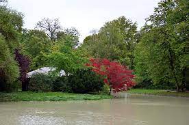 The structure was made in japan, shipped in pieces, and reassembled. Japanese Tea House Kanshoan Munich Tourist Attractions Tropter Com