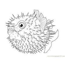 Puffer fish coloring pages are a fun way for kids of all ages to develop creativity focus motor skills and color recognition. Pufferfish Coloring Pages For Kids Printable Free Download Coloringpages101 Com