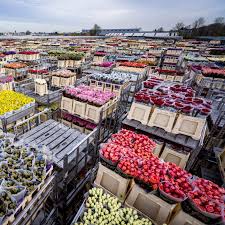 You will also find vase fillers, foam blocks, and more so you can create the perfect centerpiece. Coronavirus Is Crushing The Global Flower Market Architectural Digest