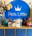 Pets Little Kingdom