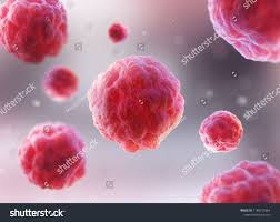 Microscope Of Red Human Cell Research Of Stem Cells 3d Illustration Ad Ad Human Cell Microscope Red Illustration Stock Illustration Microscopic