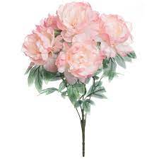 Maybe you would like to learn more about one of these? Pink Peony Bush By Ashland Michaels