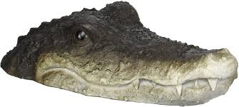 100+ vectors, stock photos & psd files. Floating Detailed Crocodile Head For A Pond Or Water Feature In The Garden Amazon Co Uk Garden Outdoors