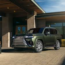 Image result for Manganese Luster 2025 LZ