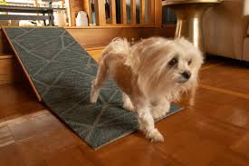 Links with this icon indicate that you are leaving the cdc website. Diy Project How To Build A Dog Ramp For 30