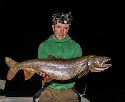 Sitter någon av dom två arterna så kommer jag nog göra ett ryck för att nå 100 arter. Kanadarodingen Gillar Gomoku Rapala Proguide Sverige