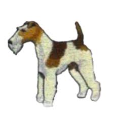 Image result for foxterier drsnosrstý