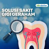 Struktur penyusun gigi yang terbesar. Https Encrypted Tbn0 Gstatic Com Images Q Tbn And9gcty3r0r1emdeihorgcqz6e7m5mkmgtpi8iyyeian8i2gnmavdhe Usqp Cau