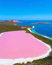 Mystery of the 'pink lake' solved: Honestly We Can T Believe These Stunning Colorful Lakes Are Real Lake Hillier Pink Lake Australia Lake