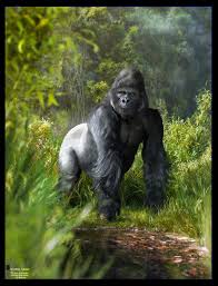 Již v době studia začal spolupracovat s čst. Artstation Gorilla Chief Jiri Adamec