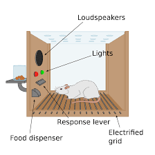 Operant Conditioning Chamber Wikipedia