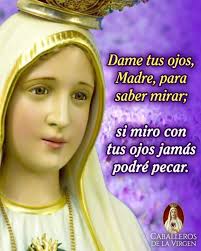 REGALEMOS UNA ROSITA A MARÍA DIOS TE SALVE MARÍA LLENA ERES DE GRACIA EL  SEÑOR ES CONTIGO BENDITA TU ERES ENTRE TODAS LAS MUJERES Y BENDITO ES EL  FRUTO DE TU VIENTRE