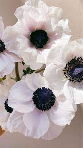 Pin On Wedding Flowers