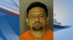 GRAPHIC: Man faces charges after horses, other animals found emaciated at  Horry County property