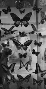 What's the best way to make a wallpaper? Pinterest Elana Black And White Picture Wall Black Aesthetic Wallpaper Black And White Photo Wall