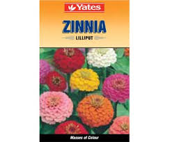 Yates Lilliput Zinnia Food Animals Flower Seeds Zinnias