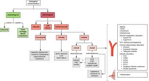 Diagnostic Tests For Vascular Calcification Advances In Chronic Kidney Disease